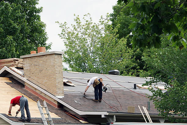 Best Emergency Roof Repair  in Allardt, TN